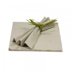 serviette 2 plis beige biodegradable 33 x 33 cm - par 50
